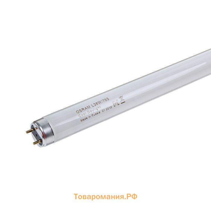 Лампа люминесцентная Osram L 36W/765, G13, 36 Вт, 6500 К, 1200 мм