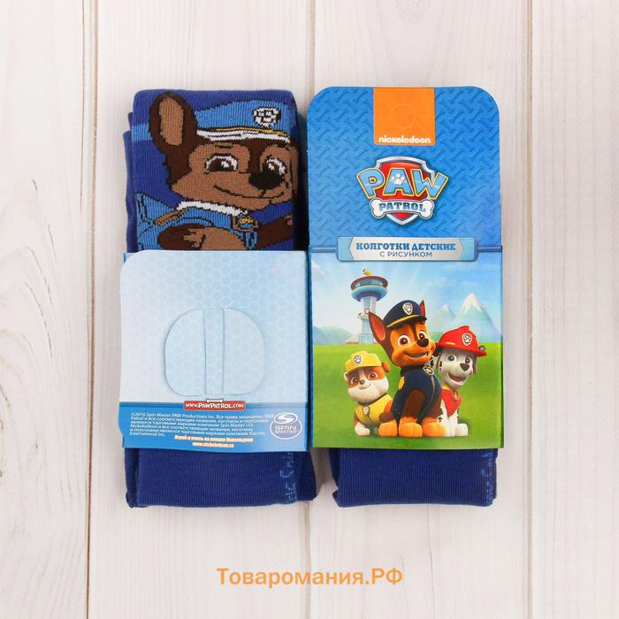 Колготки PAW PATROL «Гончик», цвет синий, 86-92 см