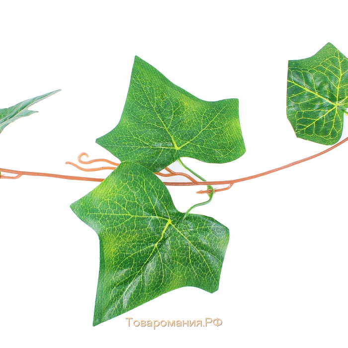Лиана "Лист-скелетник" 250 см (цена за 1 шт, в упаковке 5 шт)