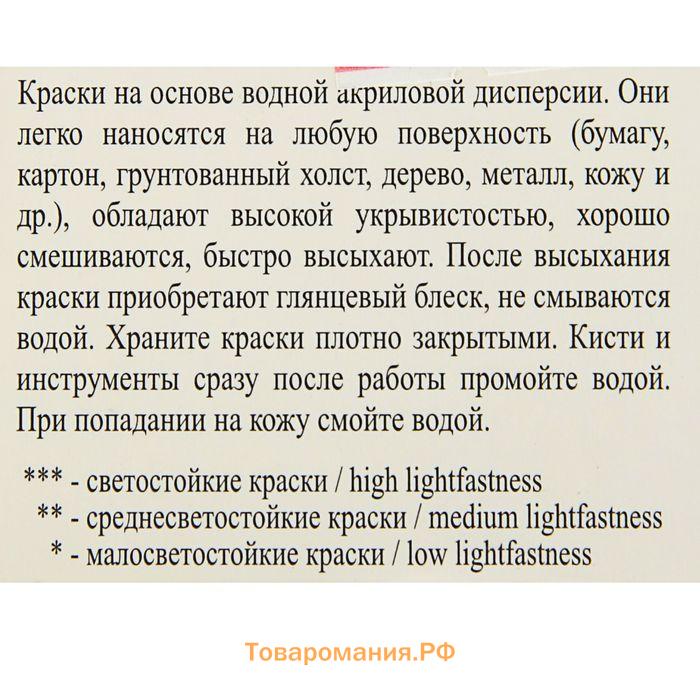 Краска акриловая, набор 6 цветов х 20 мл, ЗХК Decola, глянцевые, 2941024