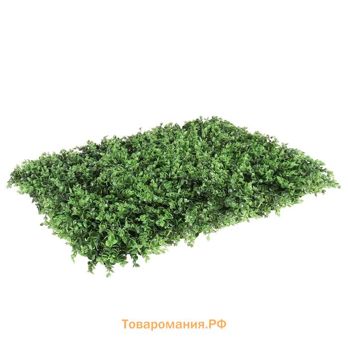 Декоративная панель, 60 × 40 см, «Самшит», Greengo