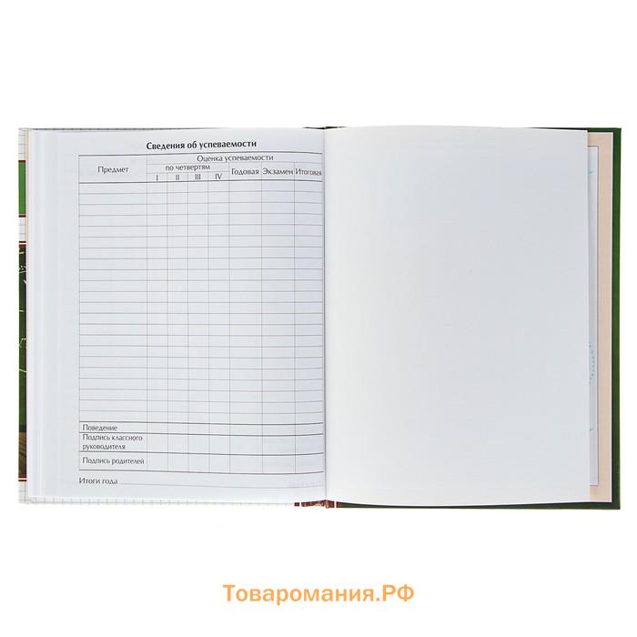 Дневник универсальный для 1-11 классов, "Школьная доска", твердая обложка 7БЦ, глянцевая ламинация, 40 листов