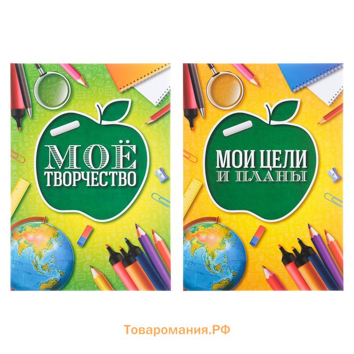 Папка школьная на кольцах «Портфолио школьника», 6 листов-разделителей, 24,5 х 32 см.