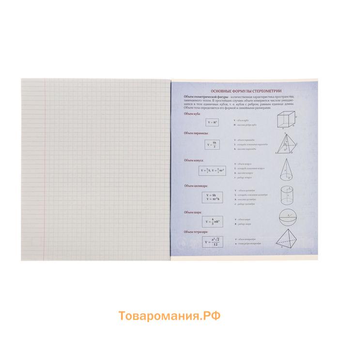 Тетрадь предметная Calligrata "3D", 48 листов в клетку Геометрия, со справочным материалом, обложка мелованный картон, блок №2, белизна 75% (серые листы)
