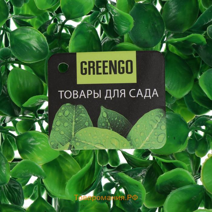 Декоративная панель, 60 × 40 см, «Мокрица», Greengo