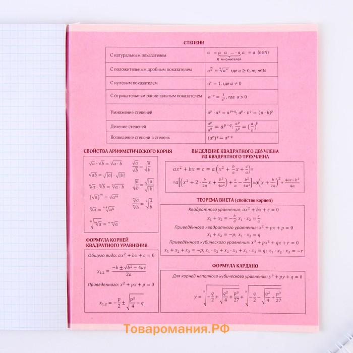 Тетрадь предметная 48 листов, А5, РОЗОВАЯ СЕРИЯ, со справ. мат. «1 сентября: Алгебра», обложка мелованный картон 230 гр внутренний блок в клетку белизна 96%