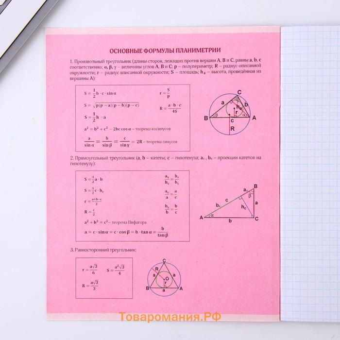 Тетрадь предметная 48 листов, А5, РОЗОВАЯ СЕРИЯ, со справ. мат. «1 сентября: Геометрия», обложка мелованный картон 230 гр внутренний блок в клетку  белизна 96%