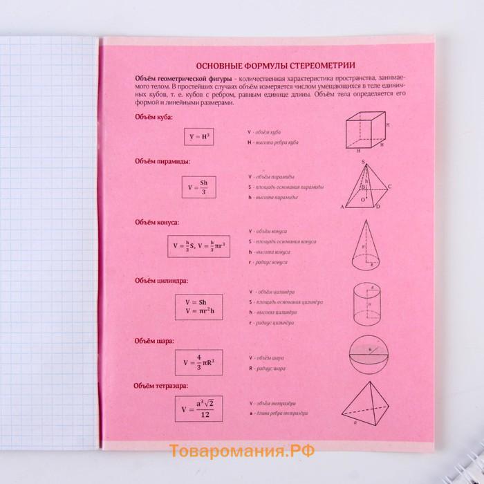 Тетрадь предметная 48 листов, А5, РОЗОВАЯ СЕРИЯ, со справ. мат. «1 сентября: Геометрия», обложка мелованный картон 230 гр внутренний блок в клетку  белизна 96%