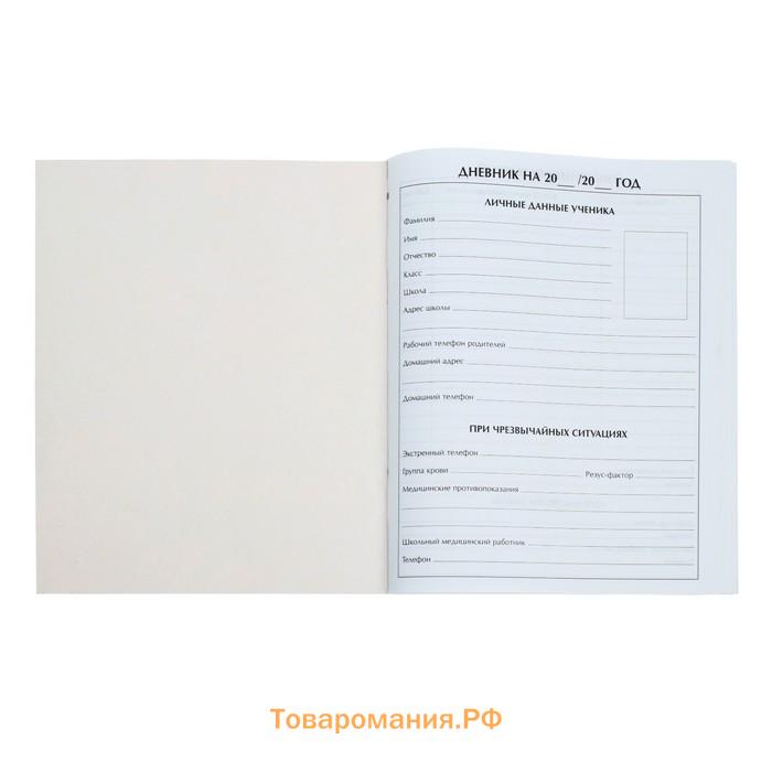 Дневник универсальный для 1-11 классов, "Совы. Паттерн", мягкая обложка, 40 листов