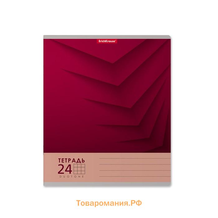 Тетрадь 24 листа в клетку ErichKrause Duotone Next, обложка мелованный картон, блок офсет, белизна 100%, МИКС