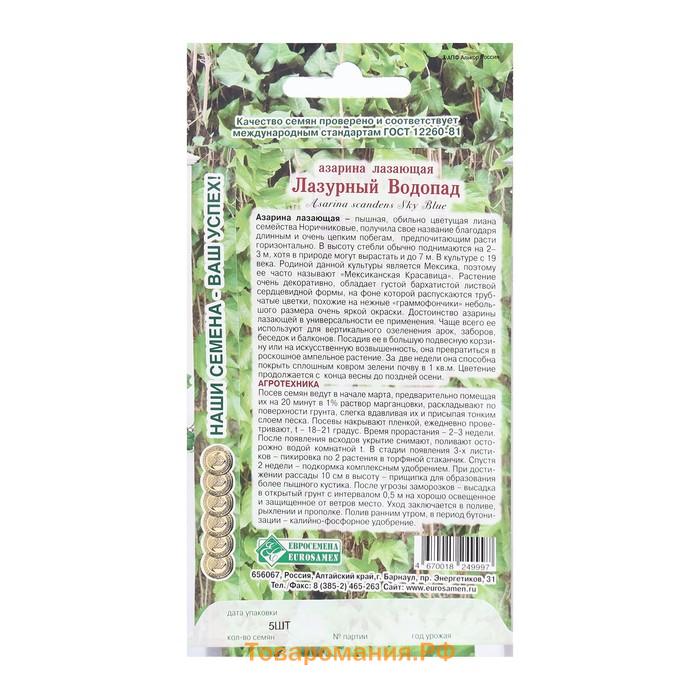 Семена Цветов Азарина лазающая Лазурный Водопад, 5 шт
