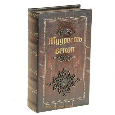 Сейф дерево книга кожа "Мудрость веков" 21х13х5 см