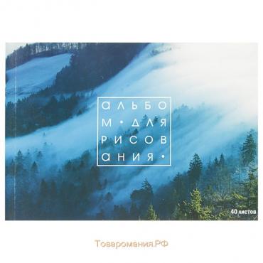 Альбом для рисования А4, 40 листов на скрепке "Лес в тумане", обложка мелованный картон, внутренний блок офсет 100 г/м²