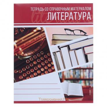 Тетрадь предметная Calligrata "Коллаж", 48 листов в линию Литература, со справочным материалом, обложка мелованный картон, блок офсет