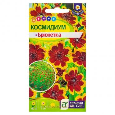 Семена цветов Космидиум "Брюнет", ц/п,  О, ц/п, 0,01 г