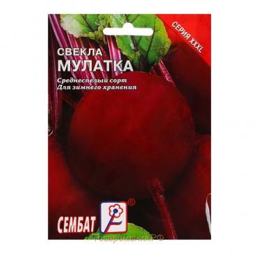 Семена Свекла "Мулатка", 2 г