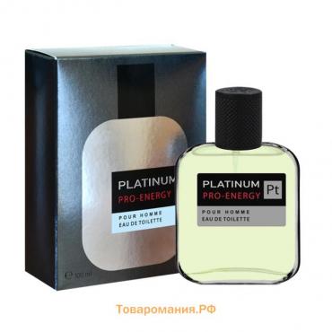 Туалетная вода мужская Pro-Energy Platinum, 100 мл (по мотивам Egoiste Platinum (Chanel)