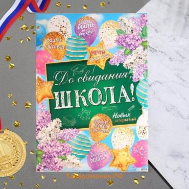 Плакат "До свидания, ШКОЛА!" шары, доска, 50,5 х 69,7 см