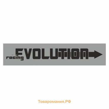 Полоса на лобовое стекло "EVOLUTION", серебро, 1220 х 270 мм