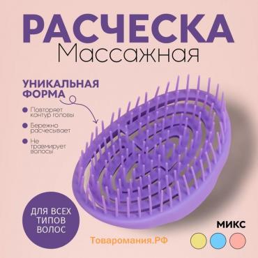 Расчёска массажная, овальная, 11 × 7,2 см, цвет МИКС